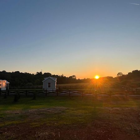 Luxury Riverfront Tiny House- Amazing Views- #111 Strawberry Plains Buitenkant foto