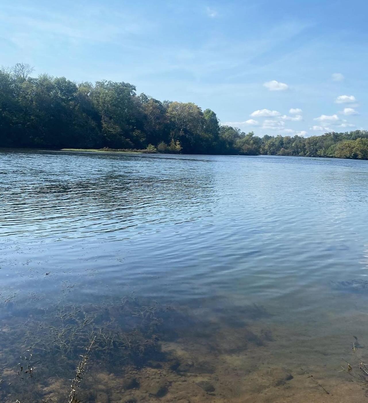 Luxury Riverfront Tiny House- Amazing Views- #111 Strawberry Plains Buitenkant foto